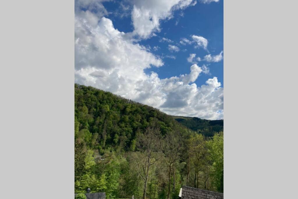 La méjounète de Lucie Vresse-sur-Semois Esterno foto